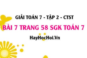 Giải bài 7 trang 58 Toán 7 tập 2 SGK Chân trời sáng tạo